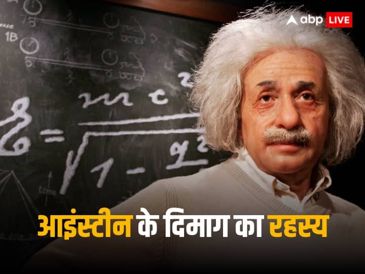 Albert Einstein The Most Intelligent Mind Of Mankind Was Broken Into 240 Pieces Got Novel Price In 2022 Know About Greatest Scientist Life History