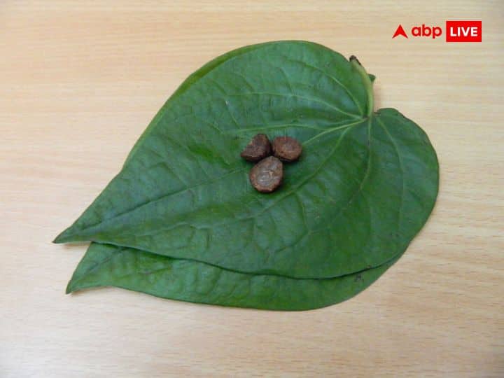 Astro Tips Betel Leaves Remedies Bring Good Luck Obstacles In Work Go Away