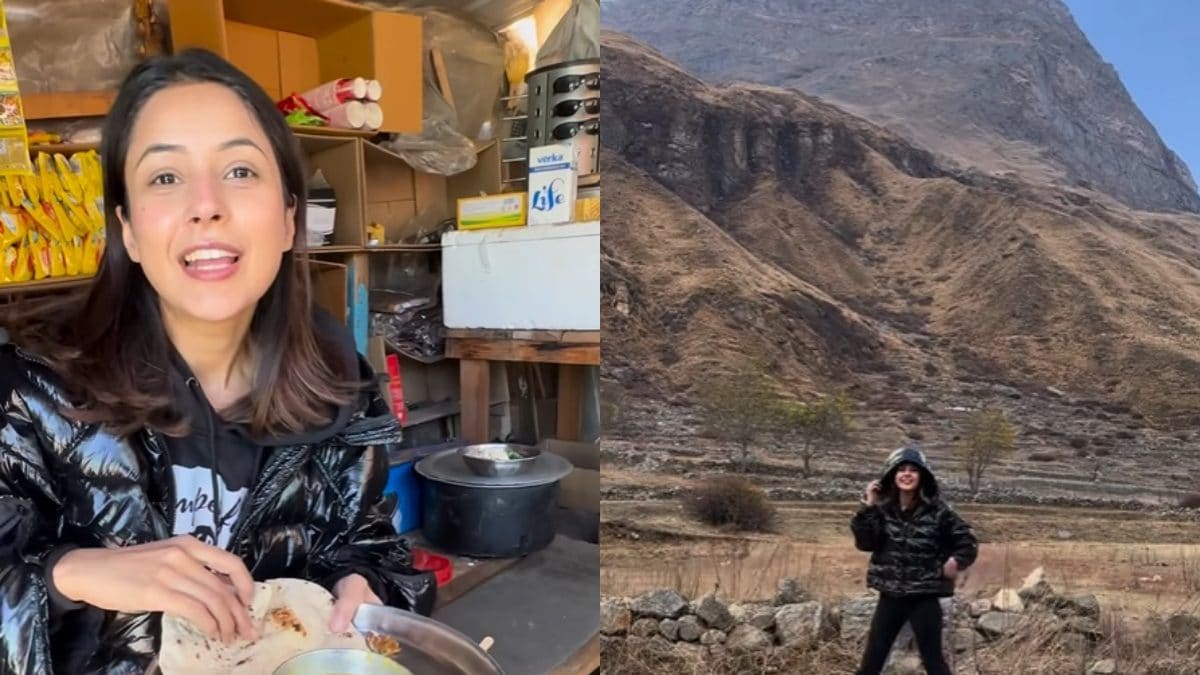 Shehnaaz Gill Relishes Local Food, Shares Glimpse of Vacay to Mountains; Watch Viral Video