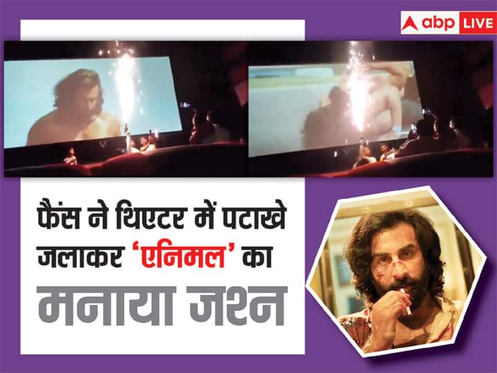 Animal Ranbir Kapoor Bobby Deol Film Celebrated By Fans Burning Firecrackers In The Theatre Video Goes Viral