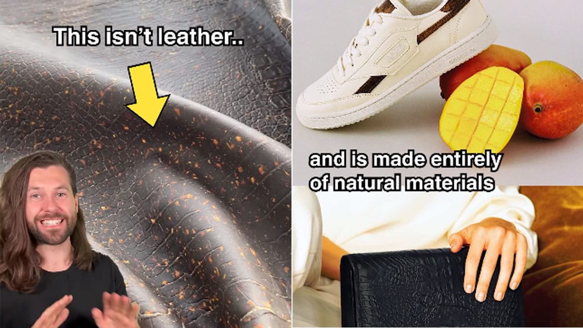 Watch: Mango Skins Journey From Trash To Leather Goes Viral