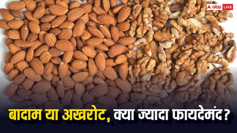 food tips walnuts or almonds Which is better and healthier for body Almomds Vs walnuts: अखरोट-बादाम खाएं, शरीर सेहतमंद बनाएं, जानें दोनों ड्राई फ्रूट्स में कौन ज्यादा फायदेमंद