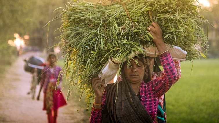 Jharkhand Hemant Soren govt give 50 lakh women 12 thousand rupees Mukhyamantri Maiya Samman Yojana इस राज्य में 50 लाख औरतों की हुई चांदी! सरकार देगी हर महीने इतने रुपए पर ये हैं शर्तें