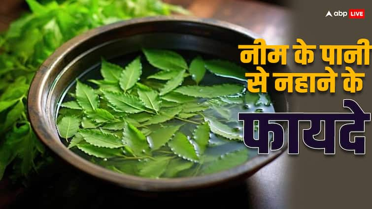 health tips neem leaves water bath benefits know how to prepare in hindi Neem Water Bath: नीम के पत्तों से नहाने के एक नहीं कई है फायदे, ये है सही तरीका